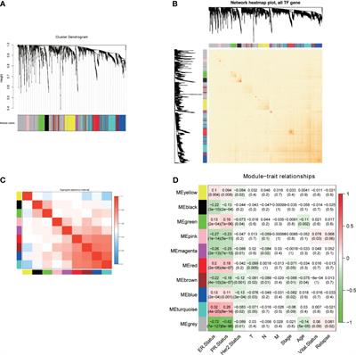 Frontiers | Identification Of A Novel Transcription Factor Prognostic ...